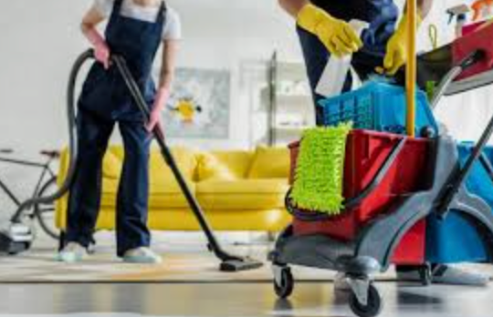 1st Impression Preparation (Deep Cleaning, Declutter)